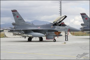 D7T_4033